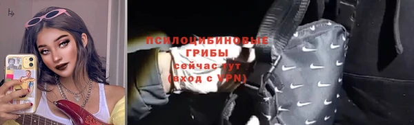 шишки Пересвет