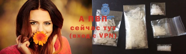 шишки Пересвет