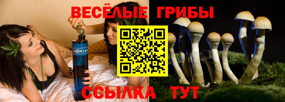 Ртищево  Галлюциногенные грибы ЛСД  Вход с VPN 